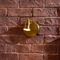 Load image into Gallery viewer, Halophane Brass Wall Lamp
