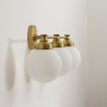 Charger l'image dans la visionneuse de la galerie, Hayes Glass Ball Wall Sconce
