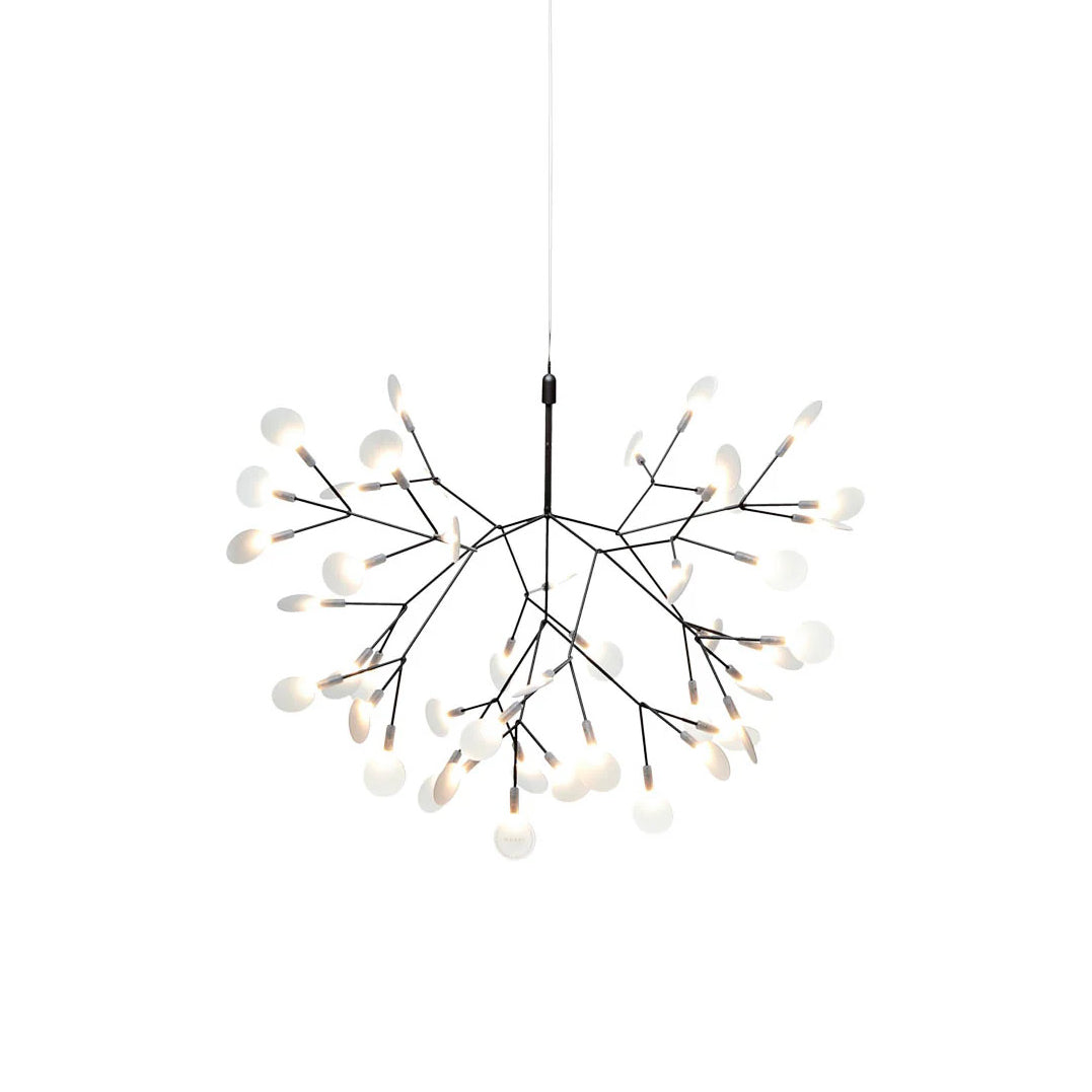 Lustre Heracleum