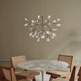 Bild in Galerie-Betrachter laden, Heracleum Chandelier
