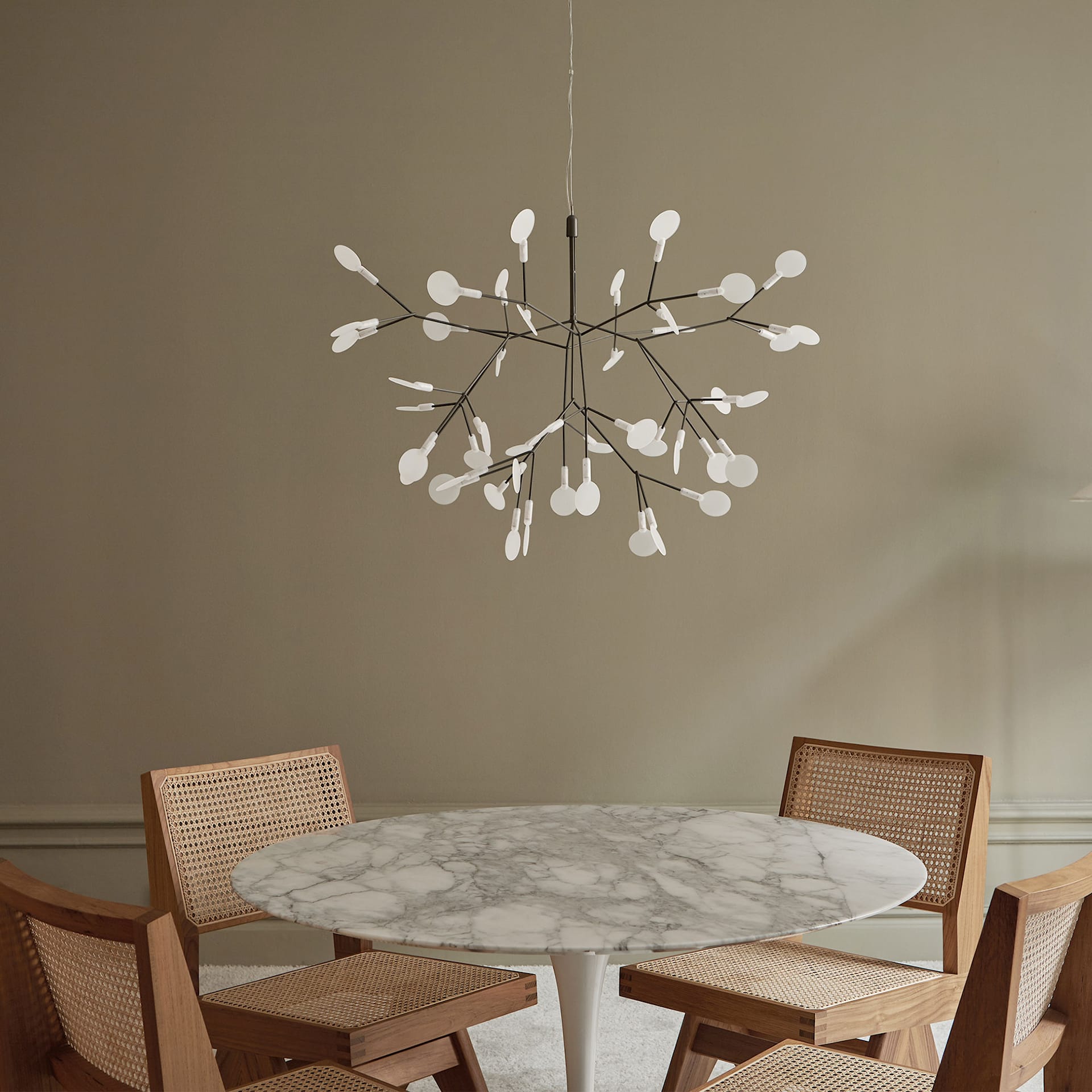 Lustre Heracleum