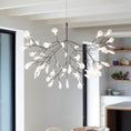 Bild in Galerie-Betrachter laden, Heracleum Chandelier
