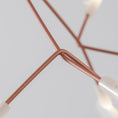 Load image into Gallery viewer, Heracleum Chandelier
