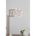 Load image into Gallery viewer, Heracleum Chandelier
