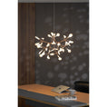 Load image into Gallery viewer, Heracleum Chandelier
