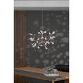 Load image into Gallery viewer, Heracleum Chandelier
