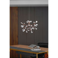 Load image into Gallery viewer, Heracleum Chandelier

