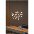 Load image into Gallery viewer, Heracleum Chandelier
