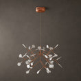Load image into Gallery viewer, Heracleum Chandelier
