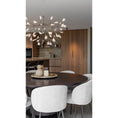 Bild in Galerie-Betrachter laden, Heracleum Chandelier
