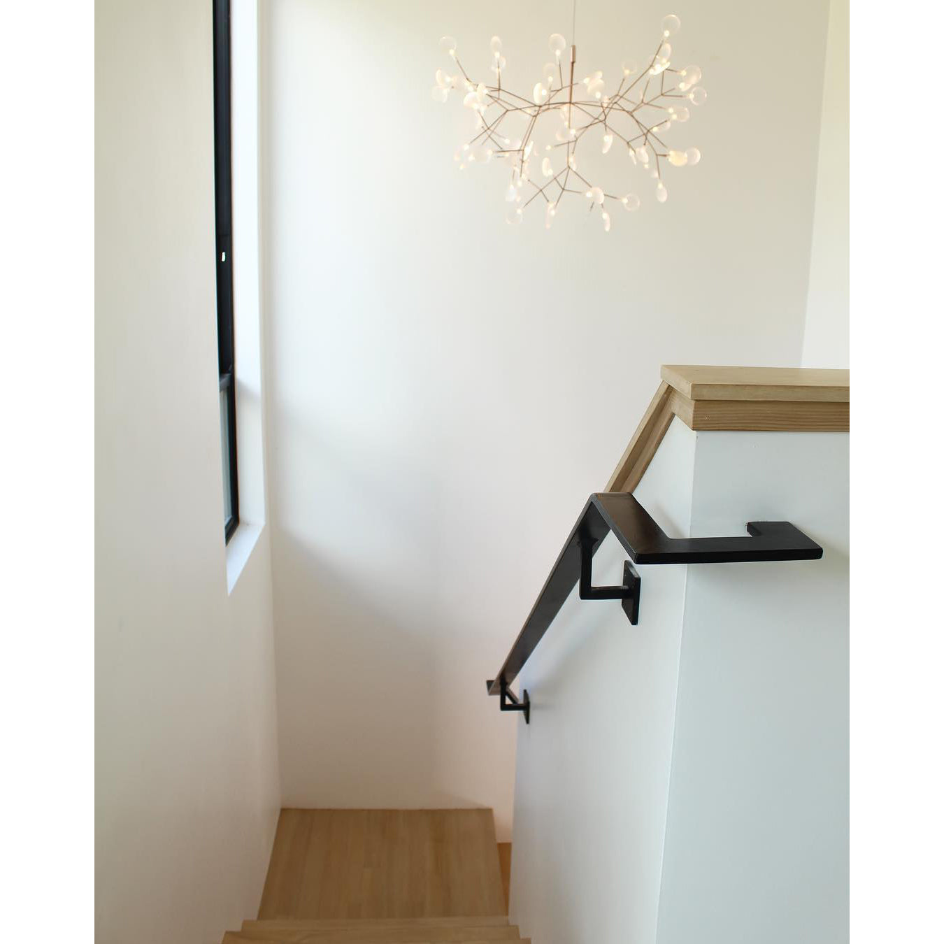 Heracleum Chandelier