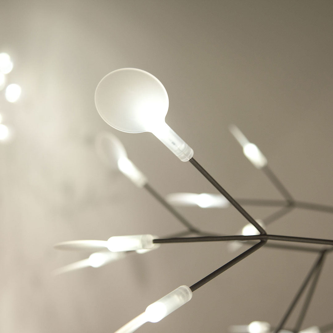 Heracleum Chandelier