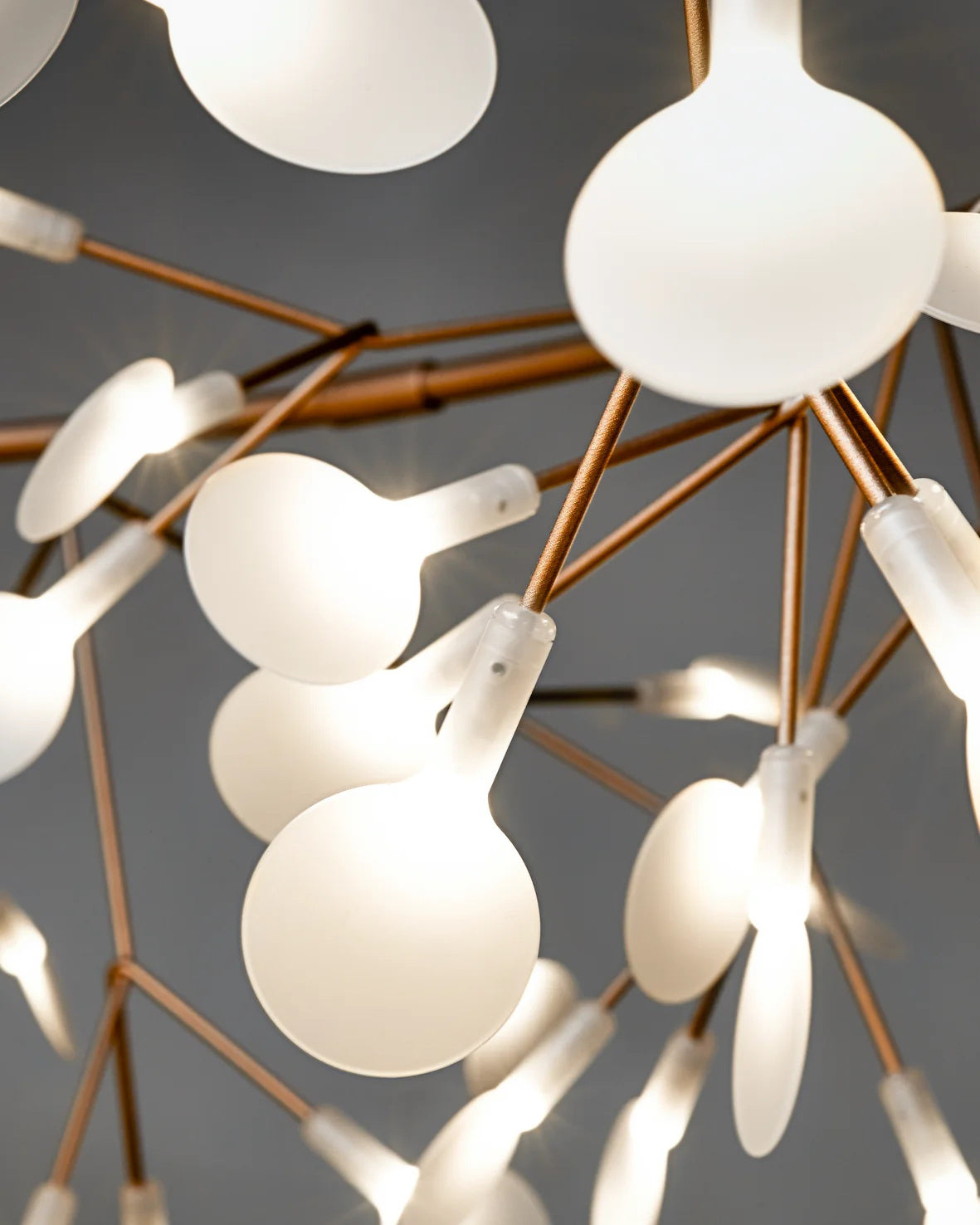 Heracleum Chandelier