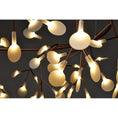 Load image into Gallery viewer, Heracleum Chandelier
