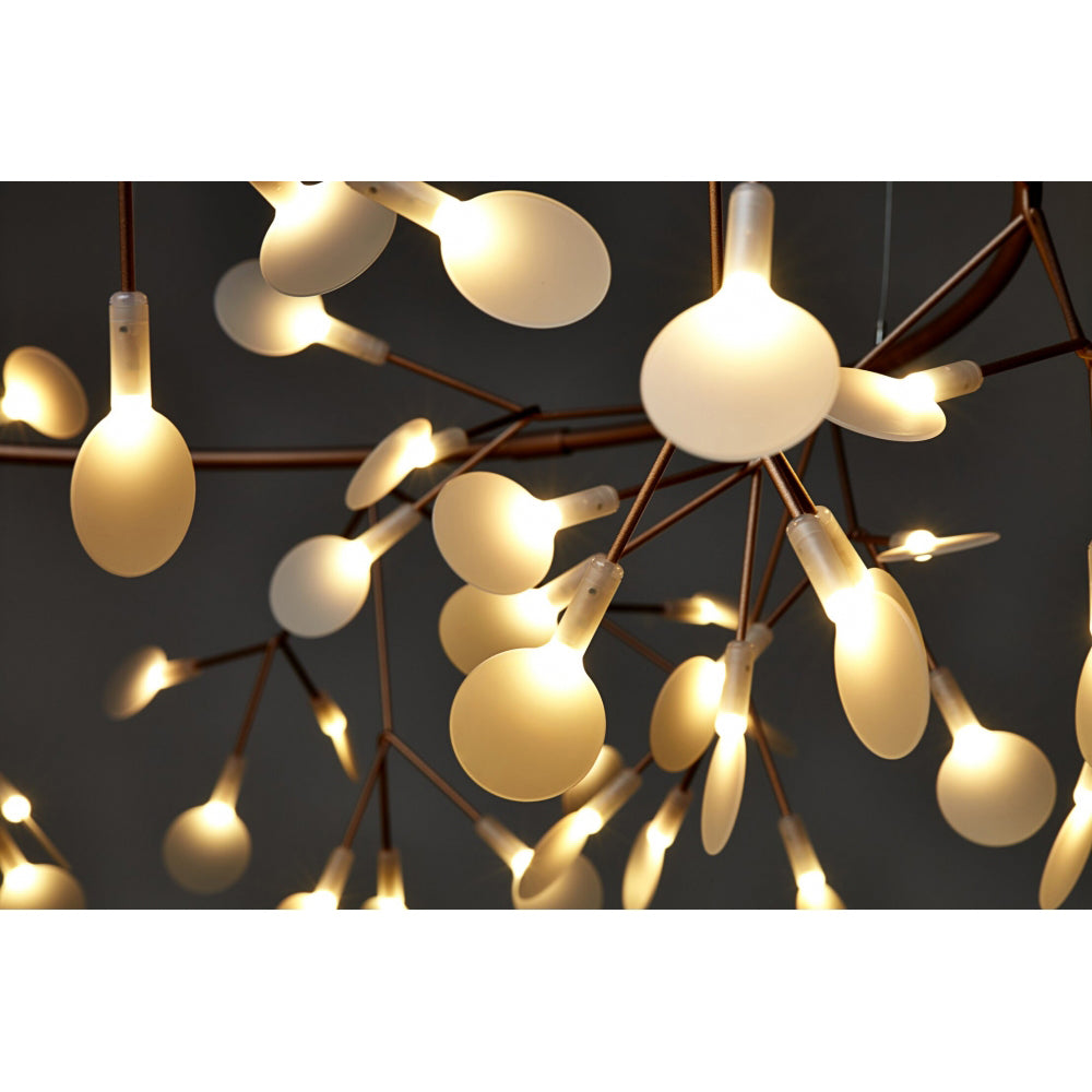 Heracleum Chandelier