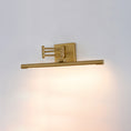Charger l'image dans la visionneuse de la galerie, Hinkley Stokes Brass Wall Lamp
