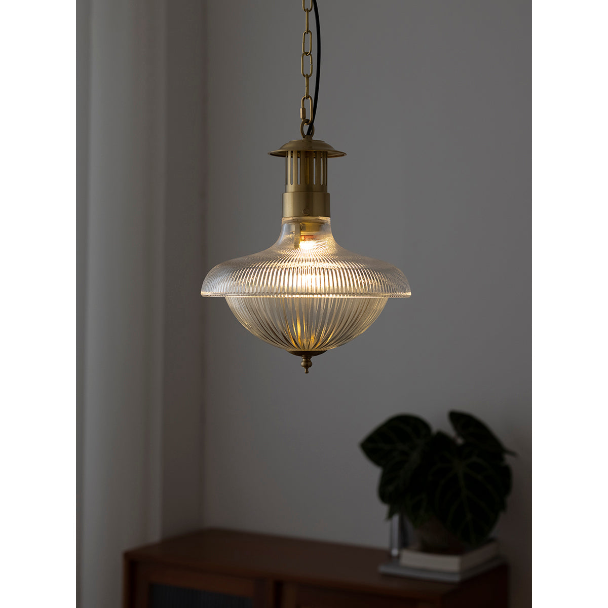 Holophane Pendant Lamp