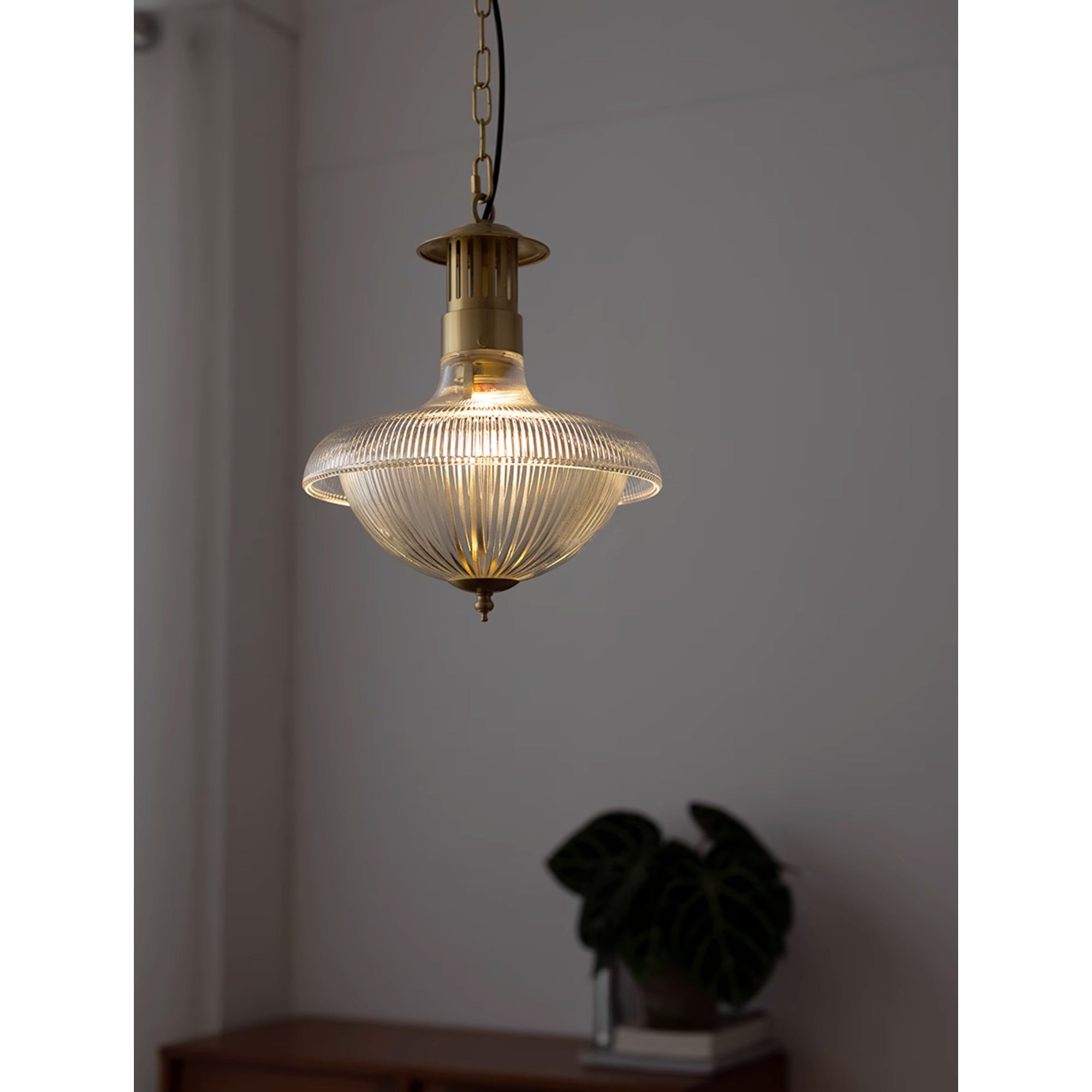 Holophane Pendant Lamp