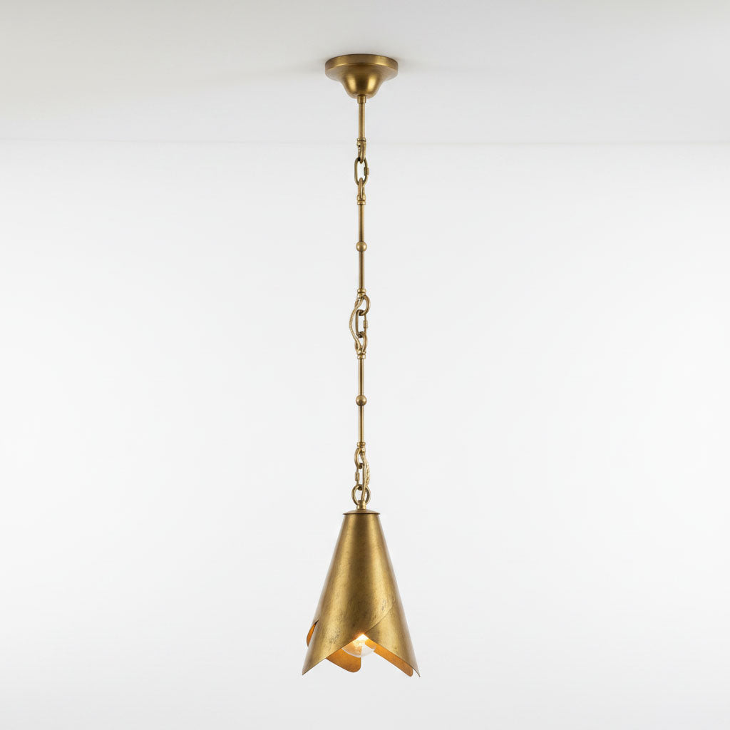 Horse Hoof Piel Pendant Lamp