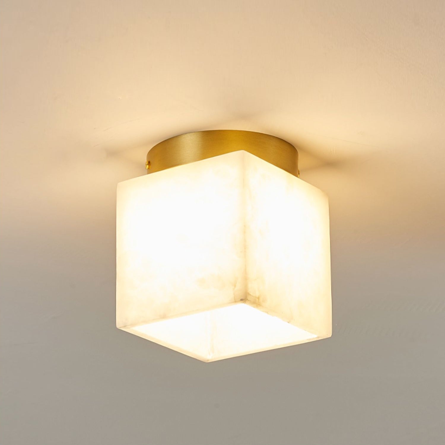 Hudson Valley Budnick Ceiling Light