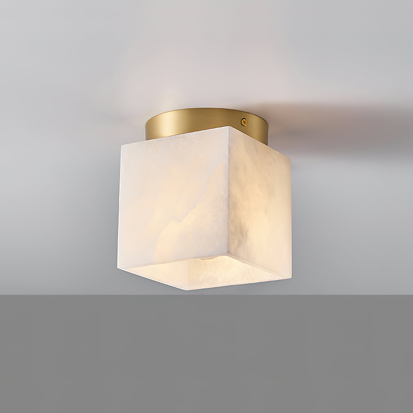 Hudson Valley Budnick Ceiling Light