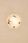 Bild in Galerie-Betrachter laden, Jellyfish Alabaster Wall Lamp
