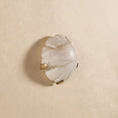 Bild in Galerie-Betrachter laden, Jellyfish Alabaster Wall Lamp
