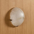 Bild in Galerie-Betrachter laden, Jellyfish Alabaster Wall Lamp
