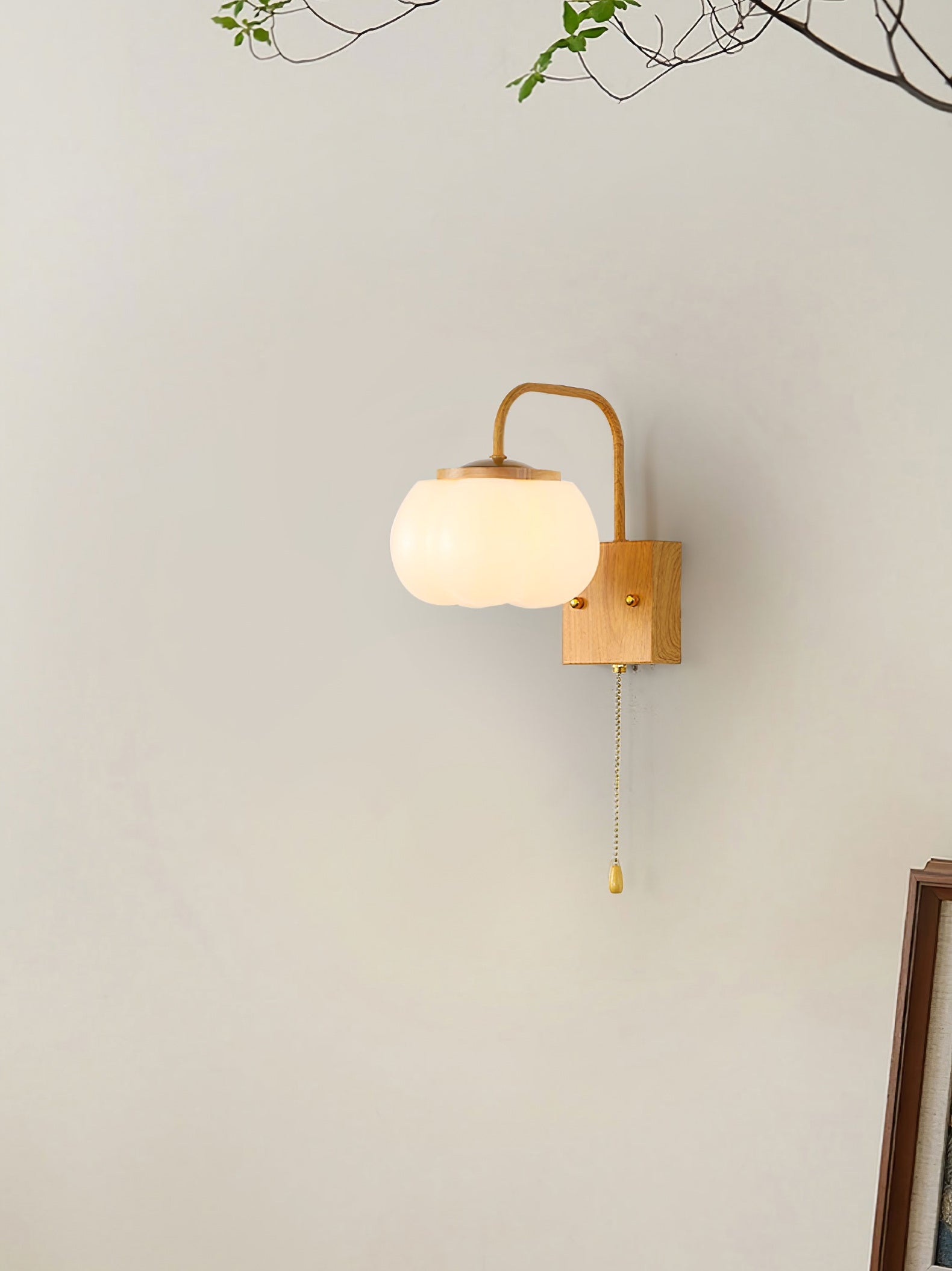 Kapok Flower Wall Lamp