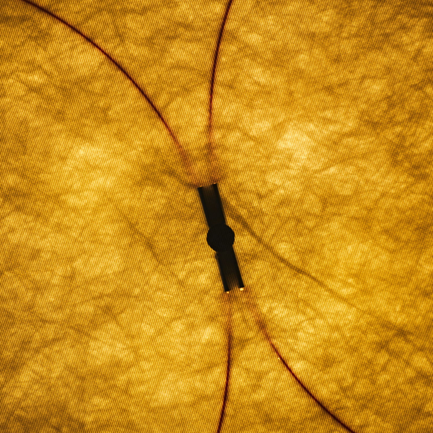 DuPont Paper Plug-in Wall Light