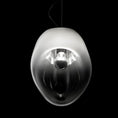 Load image into Gallery viewer, Lightbody Pendant Light
