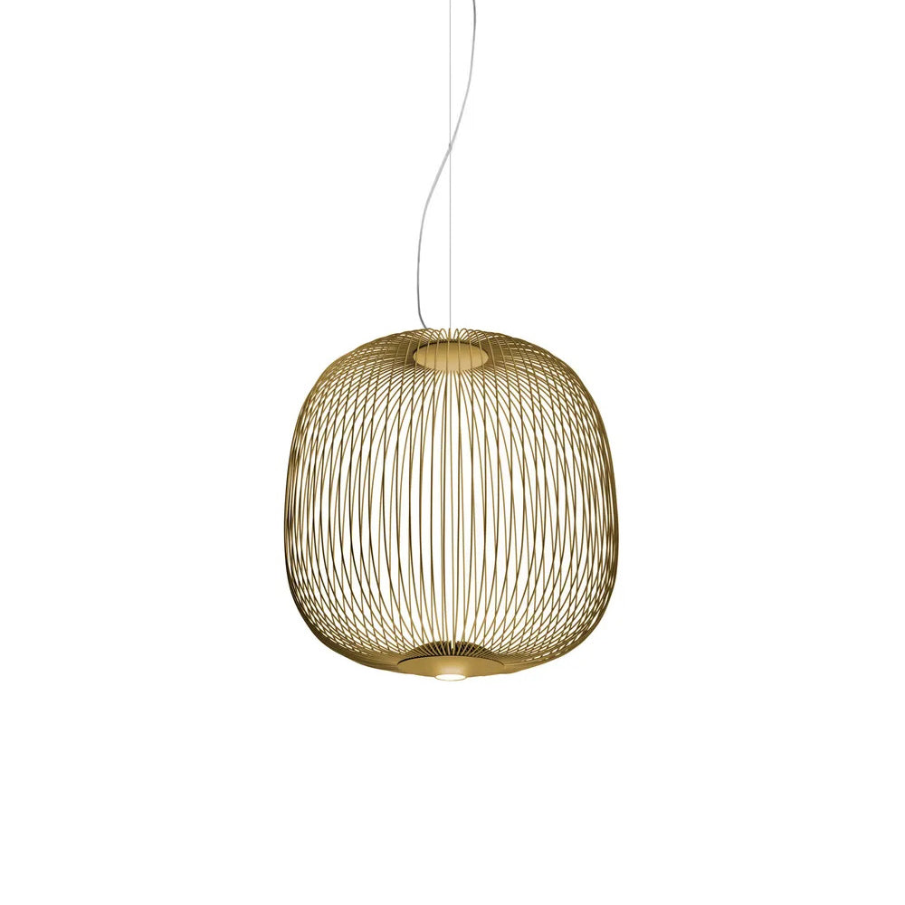 Spokes Cage Pendant Lamp