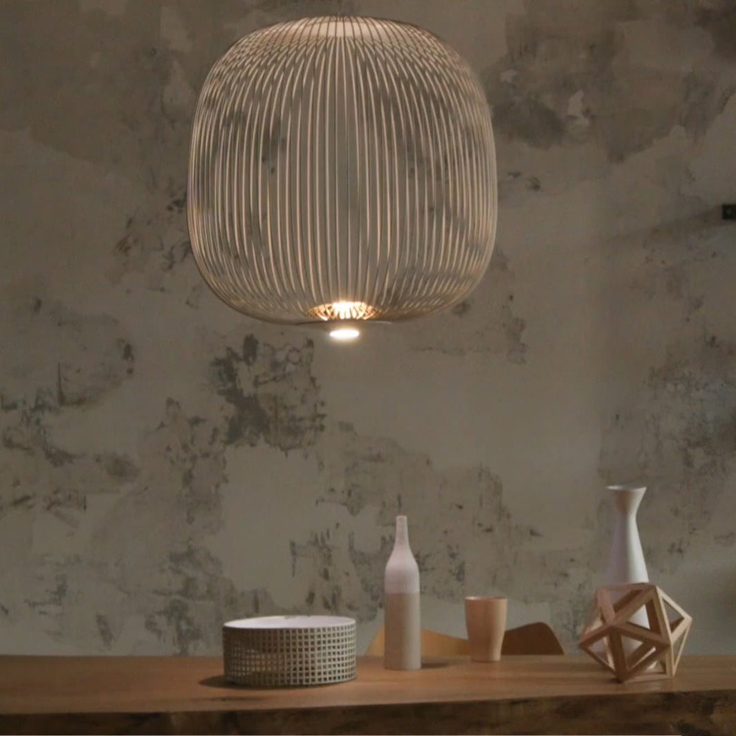 Spokes Cage Pendant Lamp