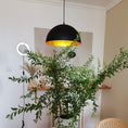 Load image into Gallery viewer, Lipeo Pendant Lamp
