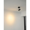 Load image into Gallery viewer, Lucide Industrial Ceiling Lamp
