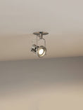 Bild in Galerie-Betrachter laden, Lucide Industrial Nickel Ceiling Lamp
