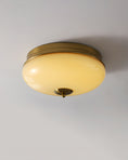 Load image into Gallery viewer, Ludo Round Ceiling Light
