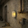 Load image into Gallery viewer, Lutec Echo Sconce
