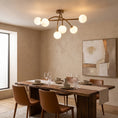 Load image into Gallery viewer, Perry Ceiling Lamp
