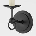 Bild in Galerie-Betrachter laden, Massi Wall Lamp
