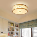 Bild in Galerie-Betrachter laden, Montpelier Ceiling Light
