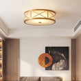 Bild in Galerie-Betrachter laden, Montpelier Ceiling Light
