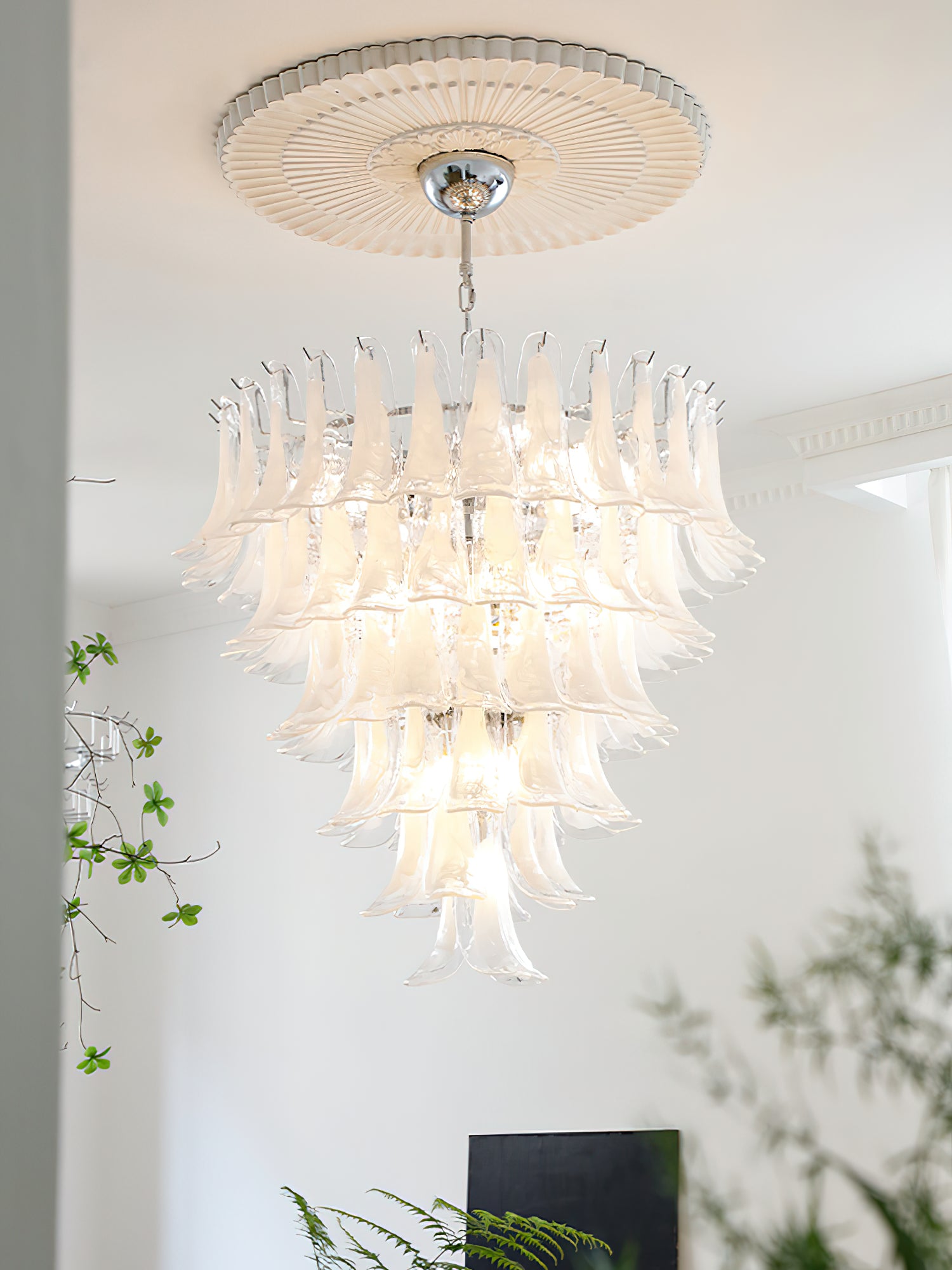 Murano Chandelier