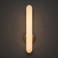 Charger l'image dans la visionneuse de la galerie, Timeless Alabaster Wall Lamp Collection Hub

