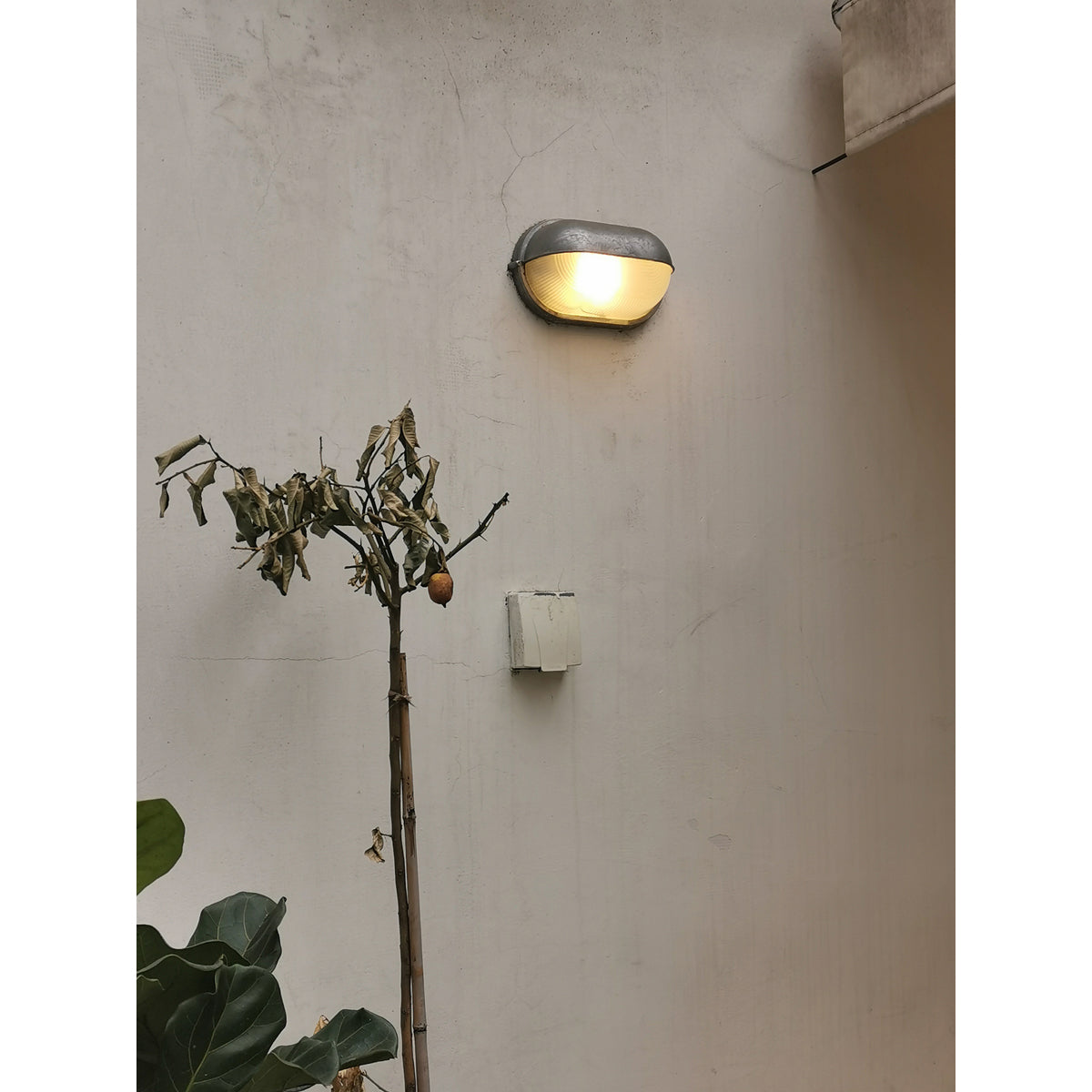 Nauticus Outdoor Wall Lamp