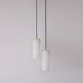 Load image into Gallery viewer, Nula Vertical Pendant Light
