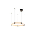 Load image into Gallery viewer, Ola Single Ring Chandelier
