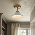 Bild in Galerie-Betrachter laden, Thetford Ceiling Lamp
