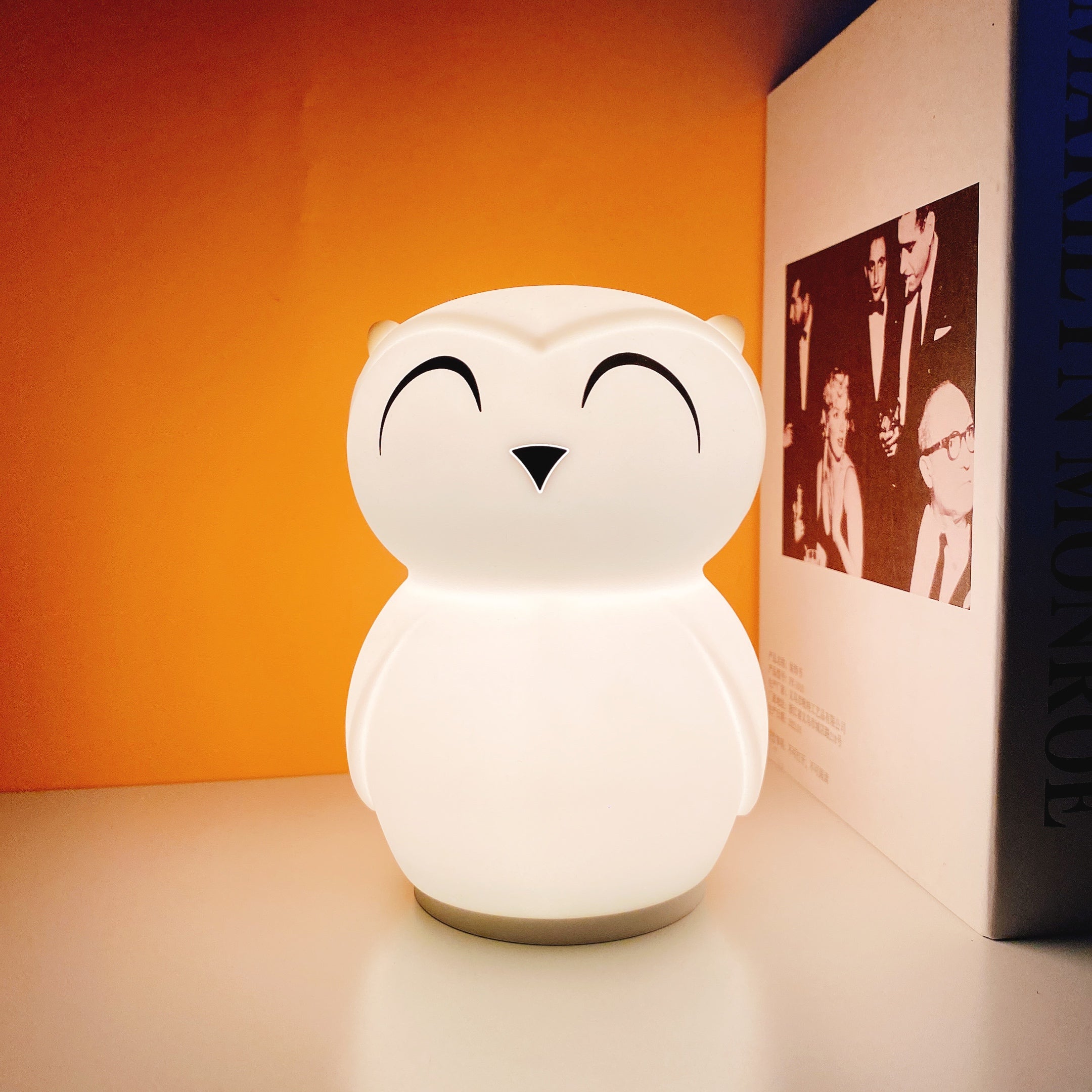 Owl Timing Night Light (built-in battery)