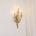 Bild in Galerie-Betrachter laden, Palace Wall Light
